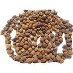 Kala Chana